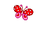 33_1185028183.gif