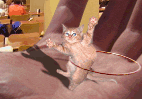 m6rg9z70.gif