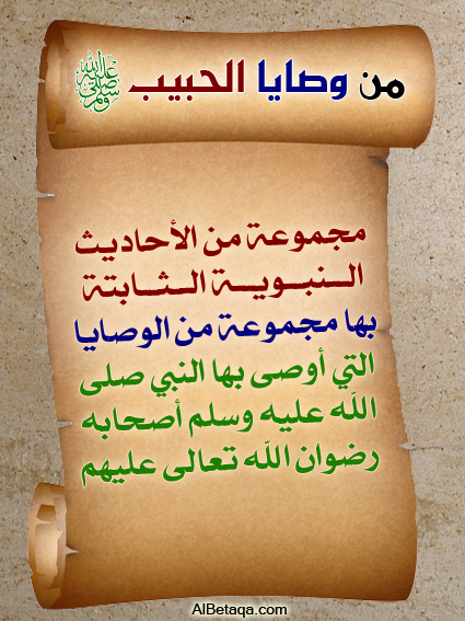 wasaya10.jpg