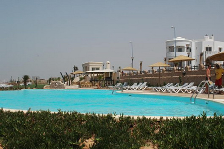 078926400D29585_1.jpg