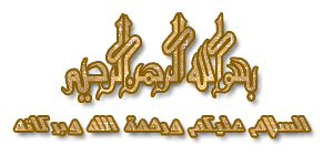 13016853791332.gif