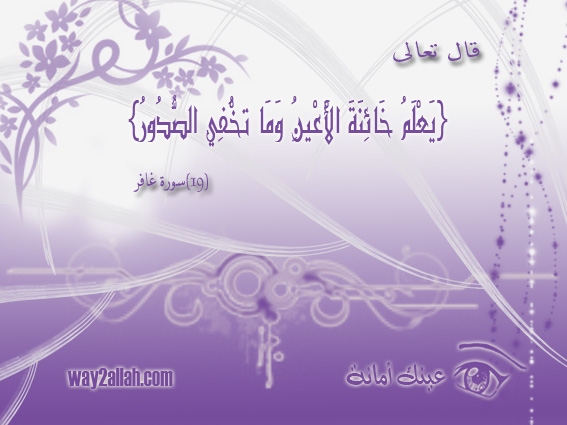 3488907271_6a0aba65eb_o.jpg