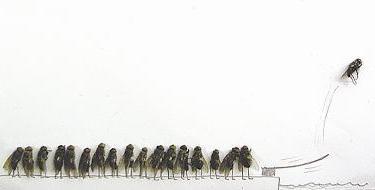 986416047.jpg