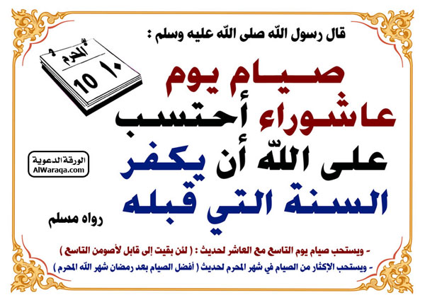 19726alsh3er.jpg