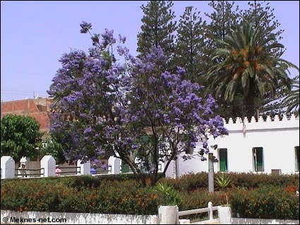 YY0L3164108.jpg