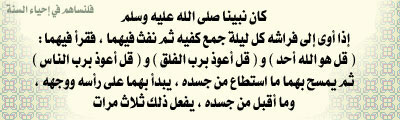 bitaqaar-mahjor-18.jpg
