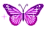 butterfly77.gif