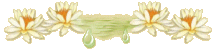 341708403.gif