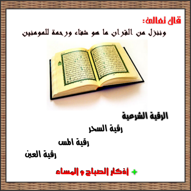 53187a89426ff4fd1d3355f33e116ea74g.jpg
