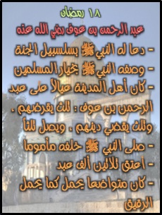 225789184.jpg