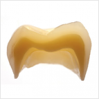 dentallayar1.jpg