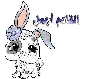 5.gif
