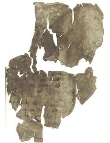 2nd_APerg203_hair.jpg