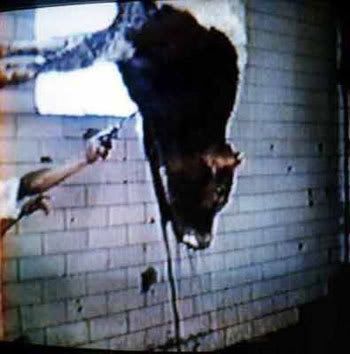 Cow-slaughter-Anon.jpg