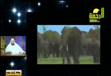 Rahma14.gif