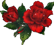 208157.gif