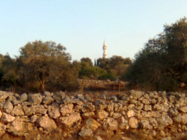 Kh__Nazlet_Zeid-34441.jpg