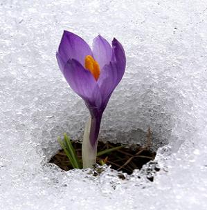 1_2010102_15066.jpg