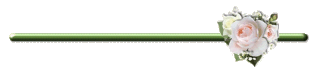 1112.gif