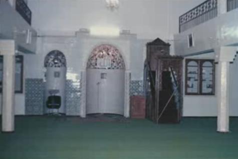 tofi133333333l.jpg