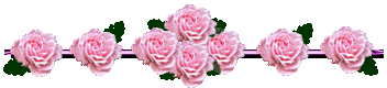 ba813775c0.gif