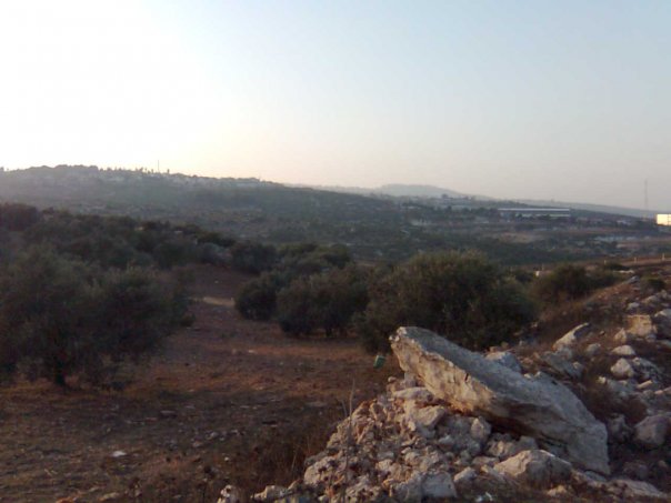 Kh__Nazlet_Zeid-34442.jpg