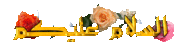 80275.gif