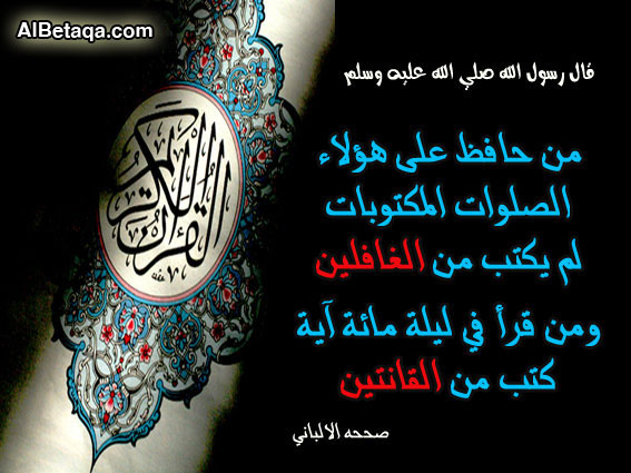 8fd2e13ec022.jpg