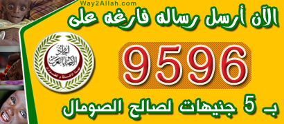 S03.jpg