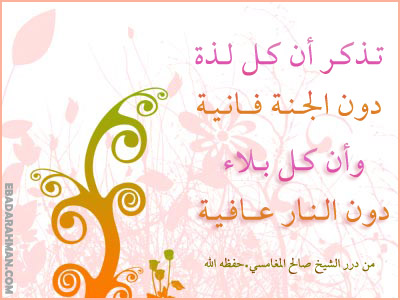 wh_11924664.jpg