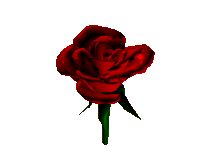 flowers_208.gif