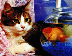 q0td0wc7.gif